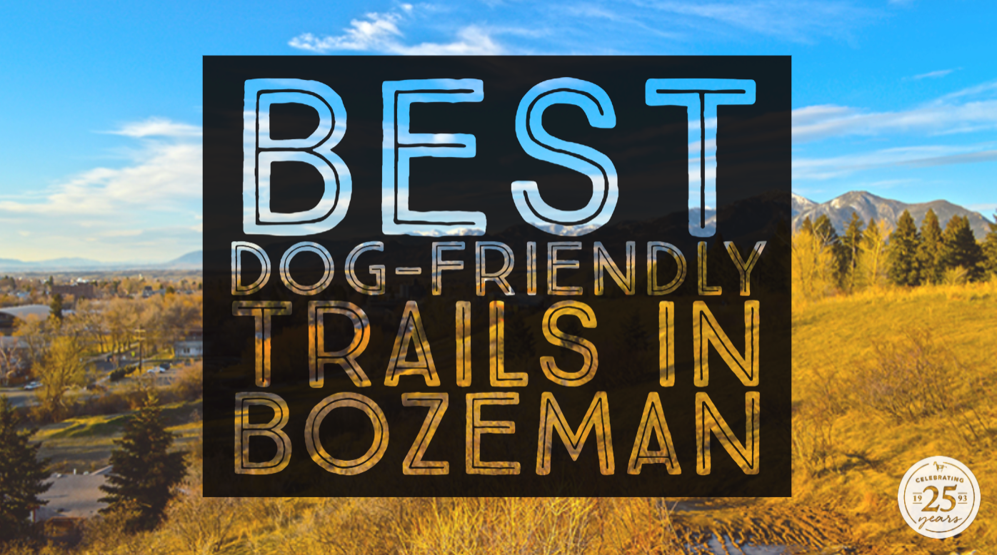Best Dog-Friendly Trails in Bozeman
