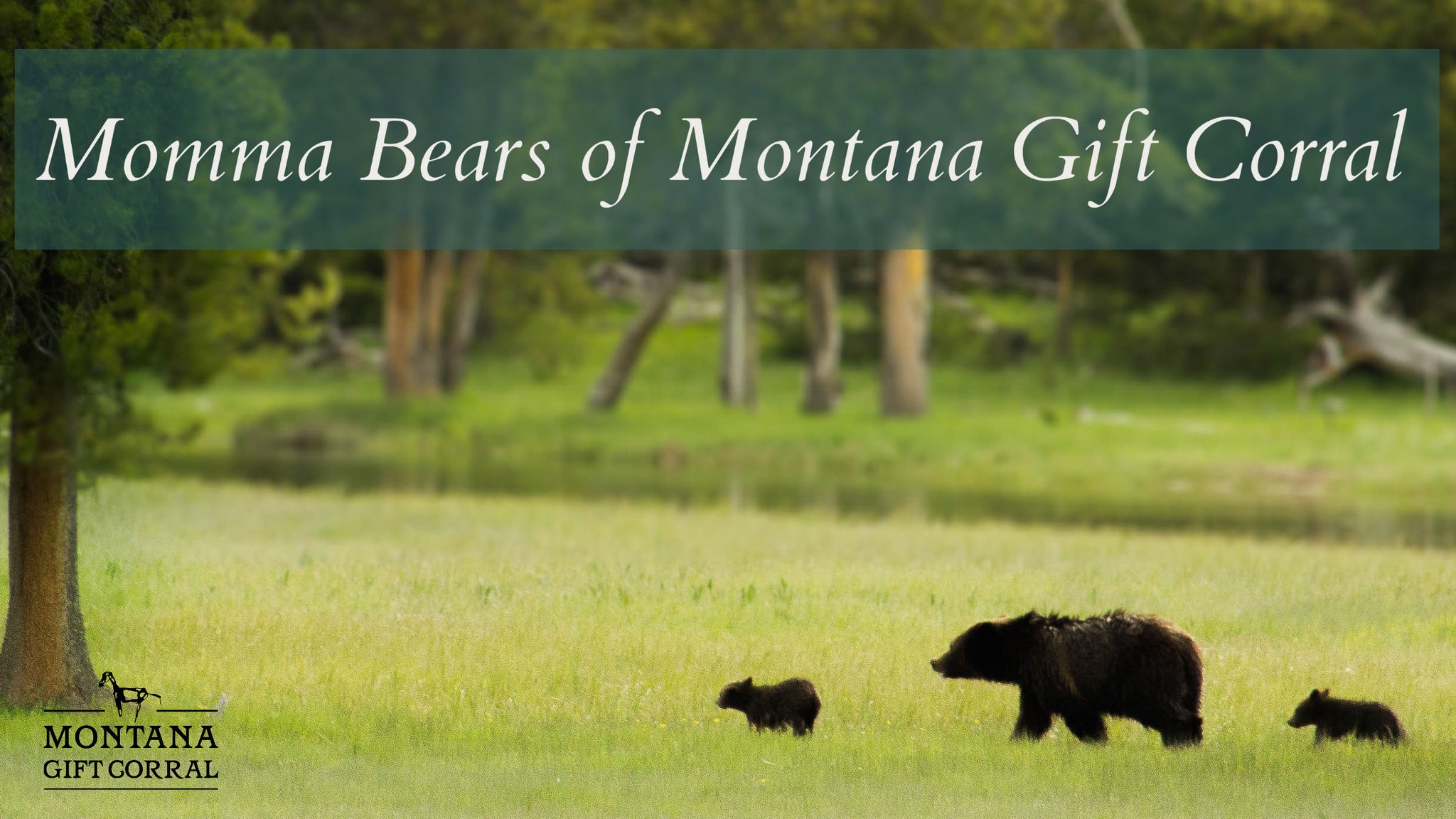 Momma Bears of Montana Gift Corral