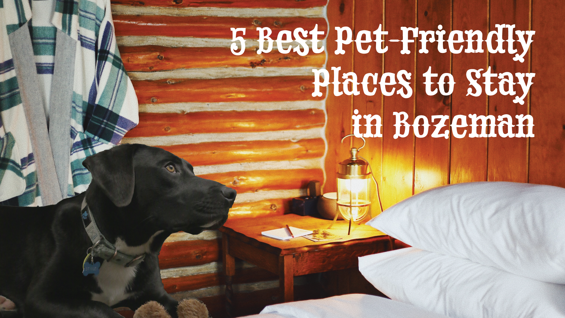 Pet-Friendly Places to Stay in Bozeman