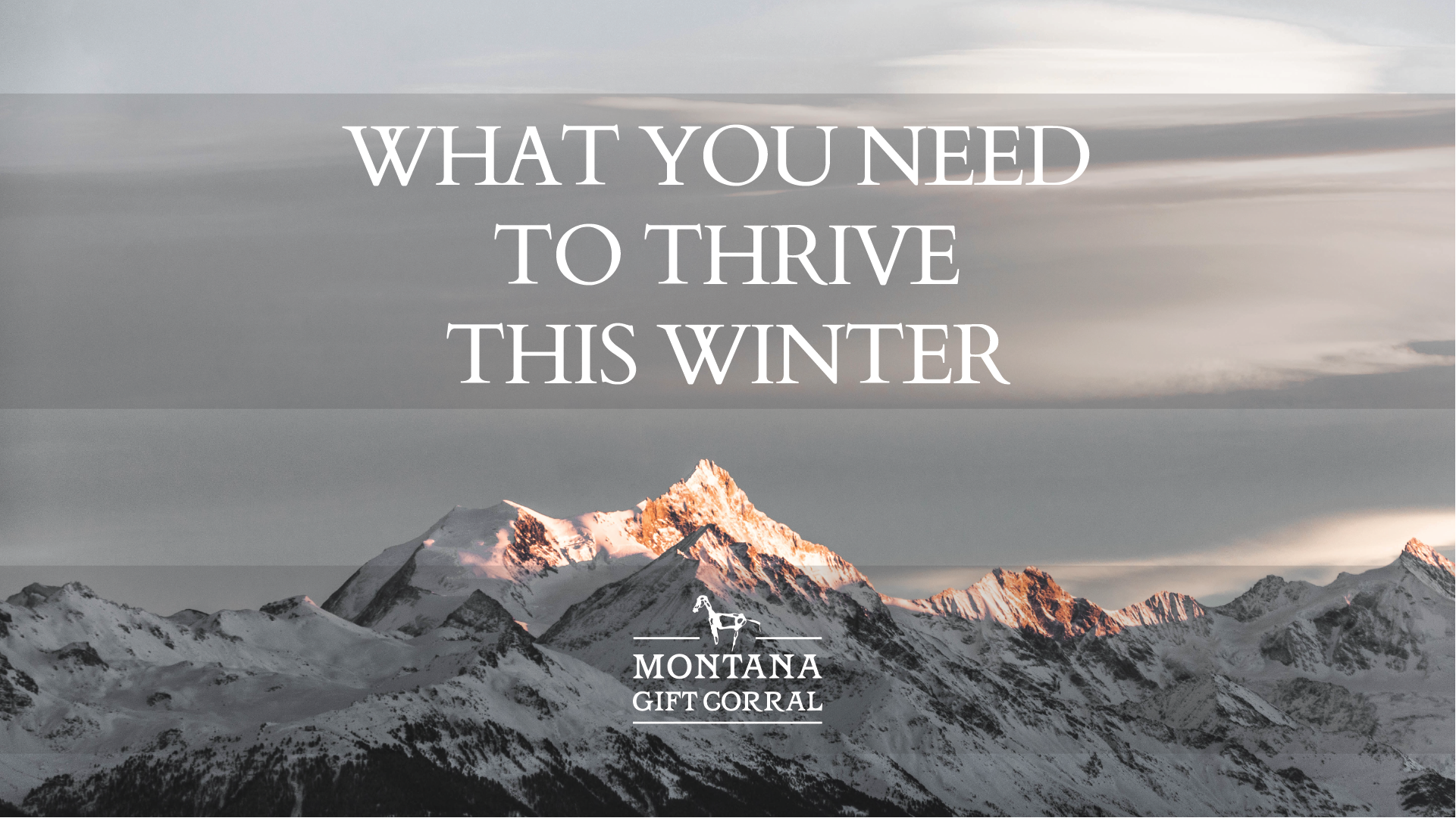 What You Need to Thrive this Winter