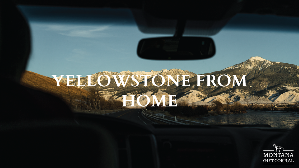 Explore Yellowstone from Home!