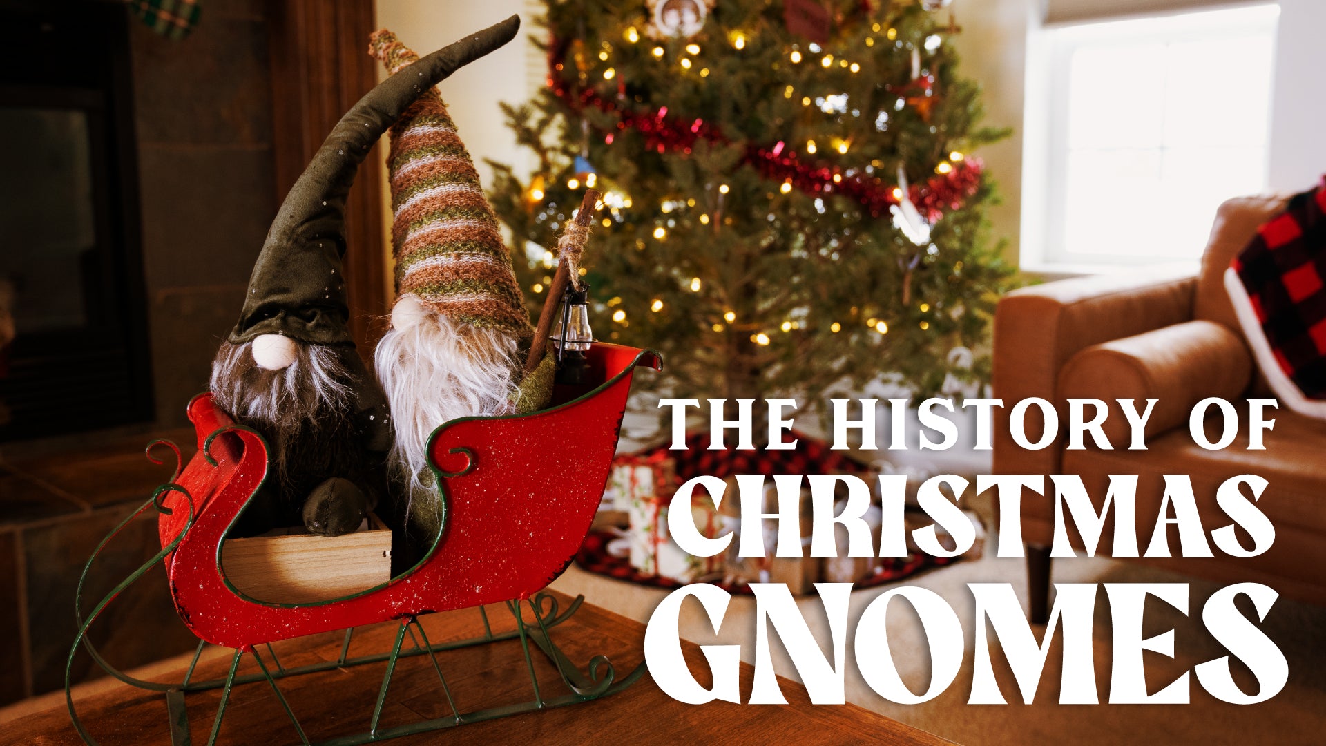 The History of Christmas Gnomes!