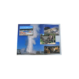Stamped Metal Magnet by The Hamilton Group (14 Styles)