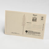 A square kraft paper postcard with a minimalist pine tree illustration and printed text, photographed standing upright against a clean white background.