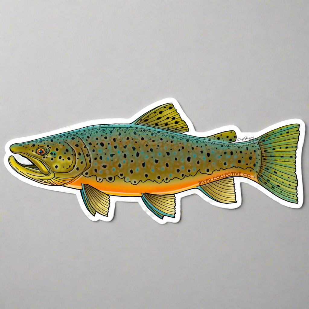 Illustration of a fish on a white background