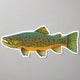 Illustration of a fish on a white background