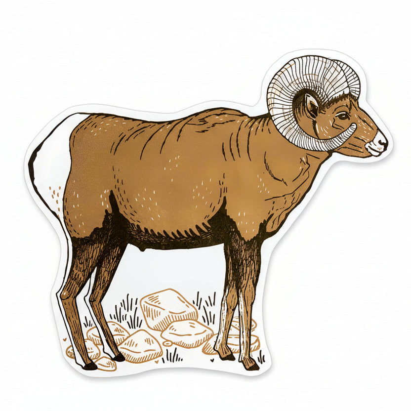 Postcard by Noteworthy Paper & Press (9 Styles)