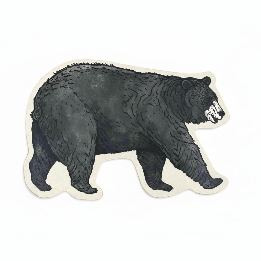 Postcard by Noteworthy Paper & Press (9 Styles)