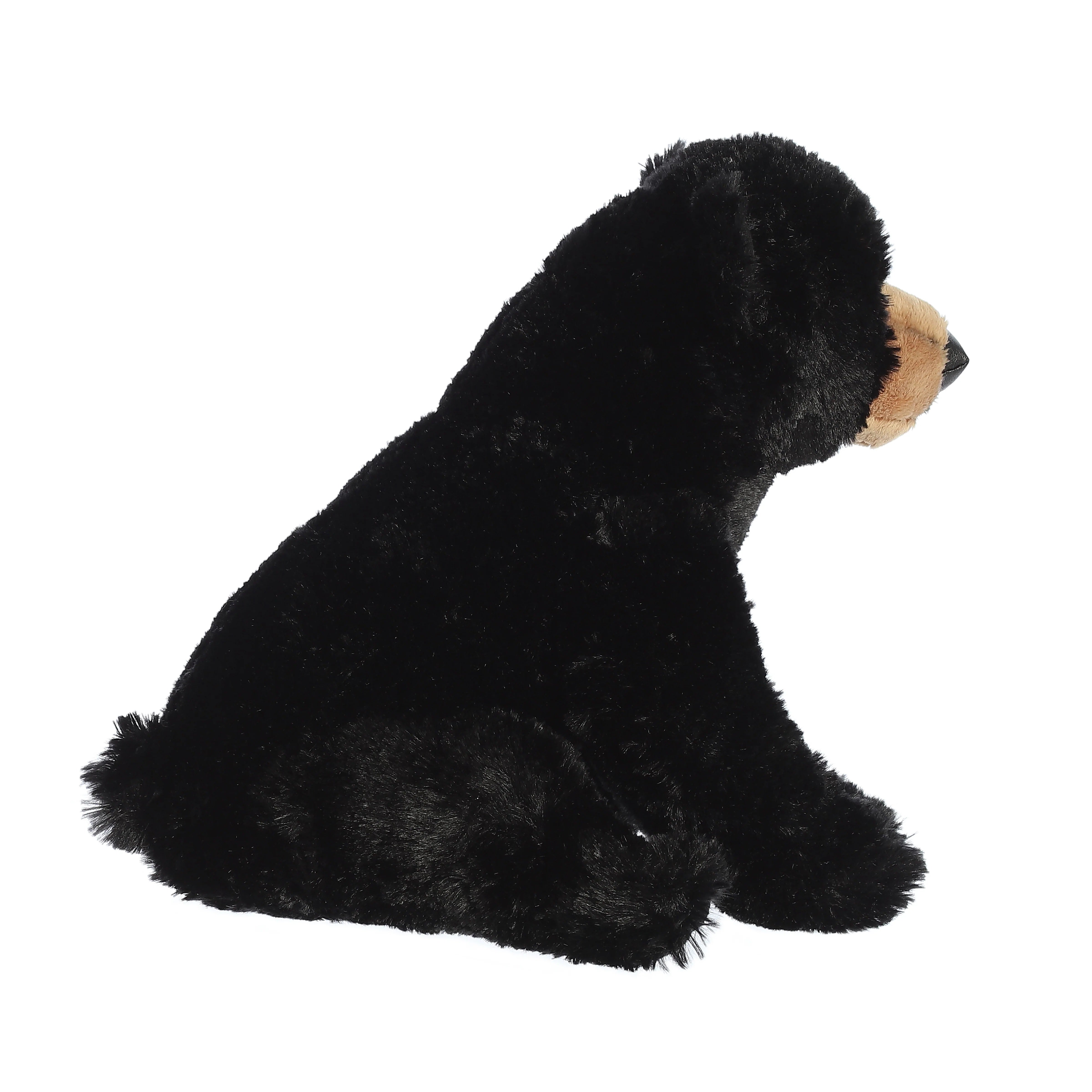 Plush black bear toy on a white background