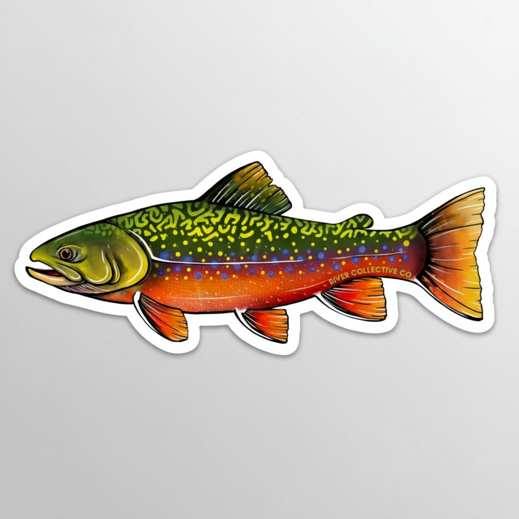 Colorful fish illustration with 'River Collective Co' branding on a white background