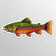 Colorful fish illustration with 'River Collective Co' branding on a white background
