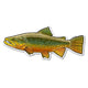 Brown Trout Decal by River Collective Co.