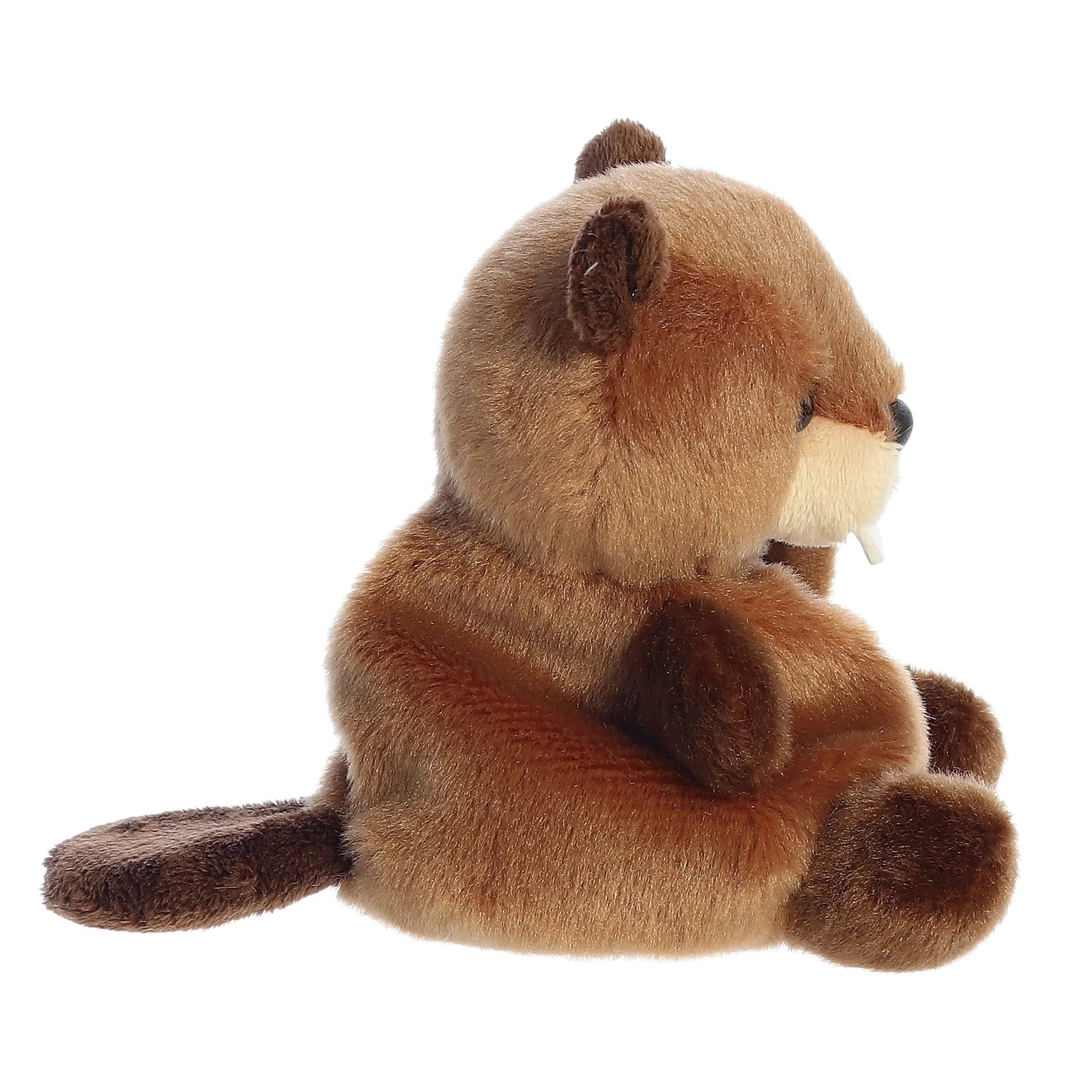 Plush toy beaver on a white background