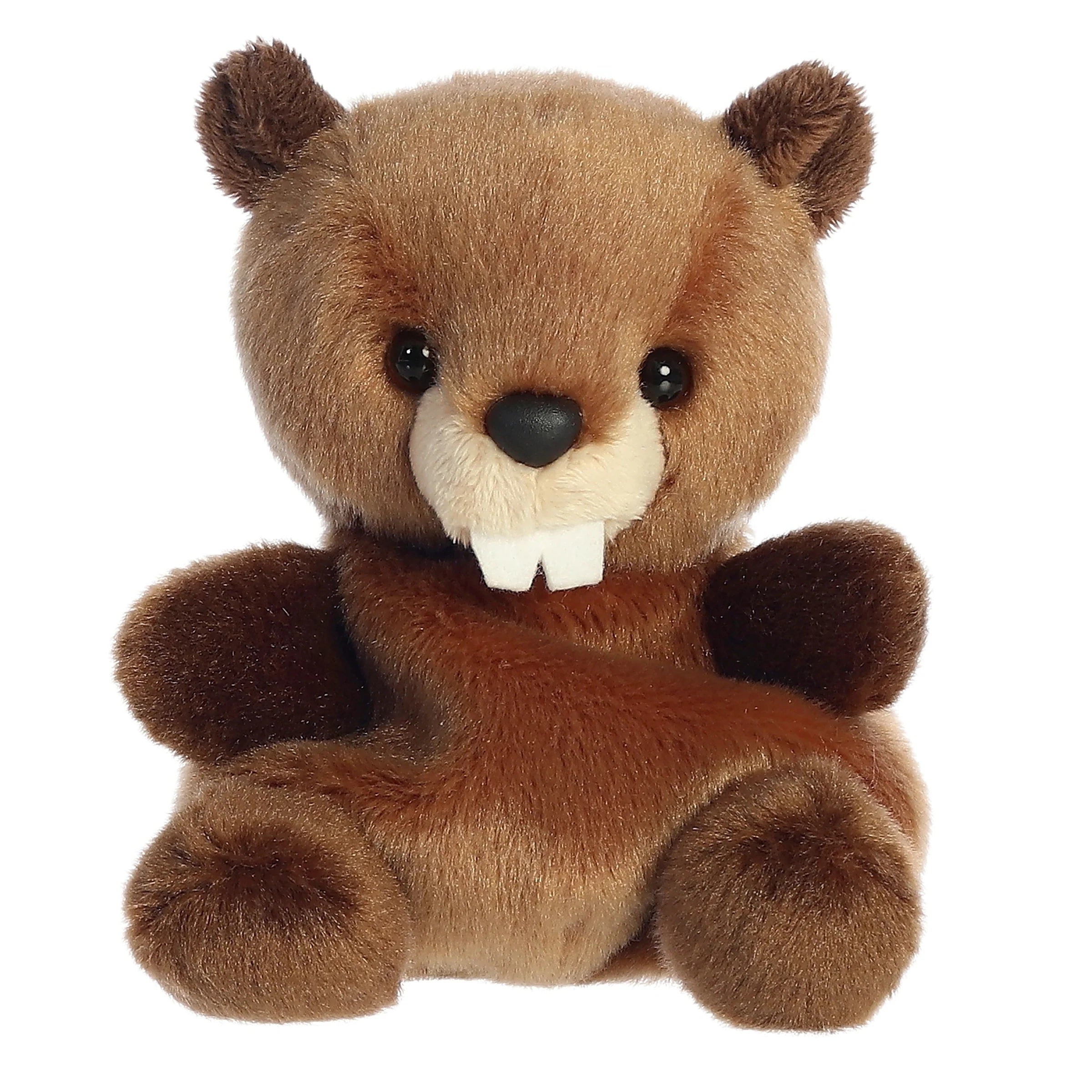 Plush toy beaver on a white background