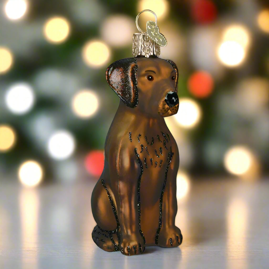 Chocolate Labrador Glass Ornament