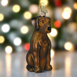Chocolate Labrador Glass Ornament