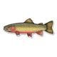 A die-cut vinyl sticker of a trout fish, featuring a detailed illustration with a speckled olive-green and gold back, a pinkish-red underside, and orange-red fins, shown on a plain white background.