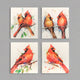 Dean Courser Cardinal Biodegradable Dish Cloths - set of 4