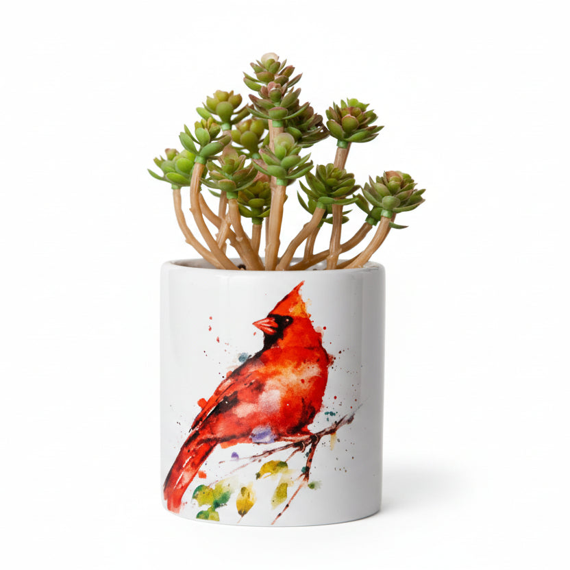 DeanCrouserCardinalSucculentPlanterbyDemdaco_81896