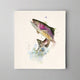 Dean Crouser Rainbow Trout Biodegradable Dish Cloth - single
