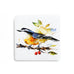 Dean Crouse Songbird Magnet - Nuthatch and Berries