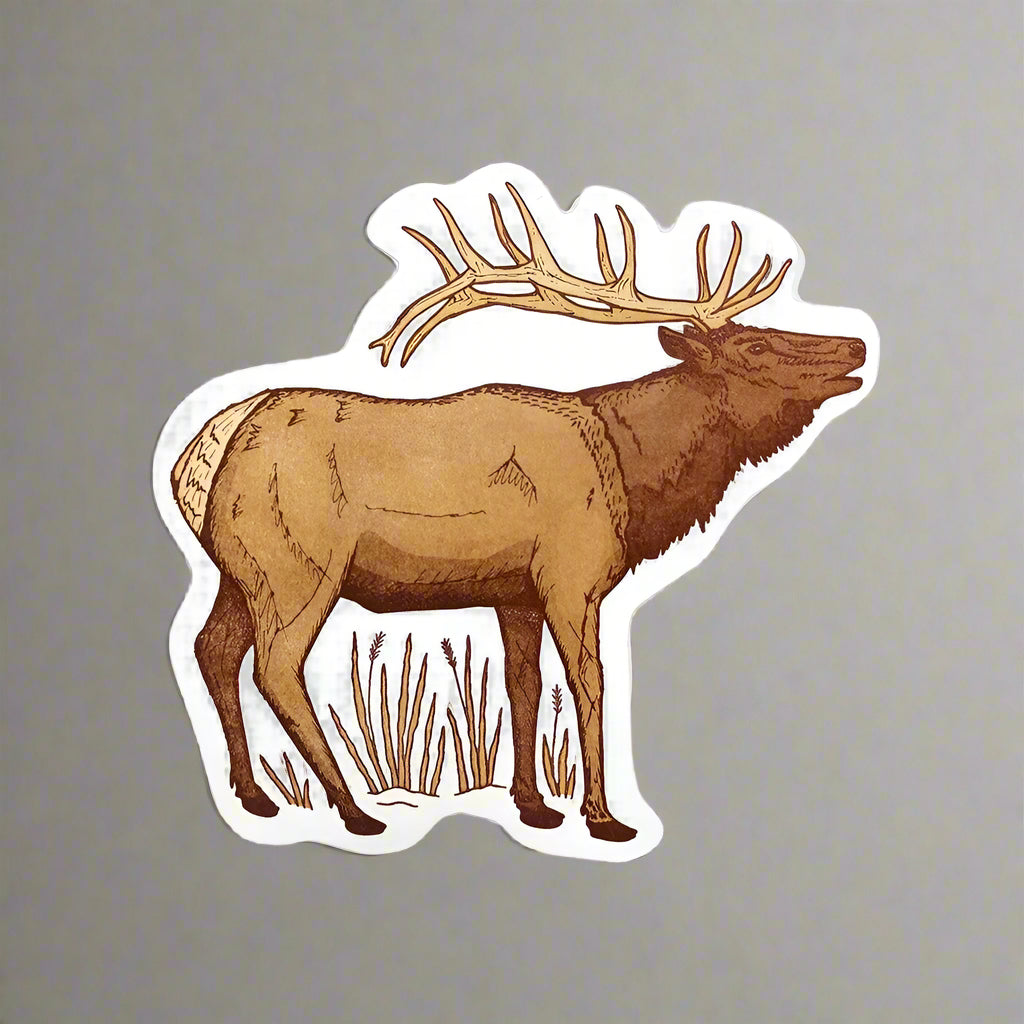 Postcard by Noteworthy Paper & Press (9 Styles)