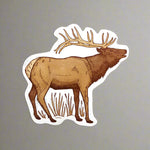 Postcard by Noteworthy Paper & Press (9 Styles)
