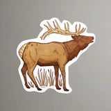 Postcard by Noteworthy Paper & Press (9 Styles)