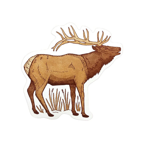 Elk Postcard by Noteworthy Paper & Press