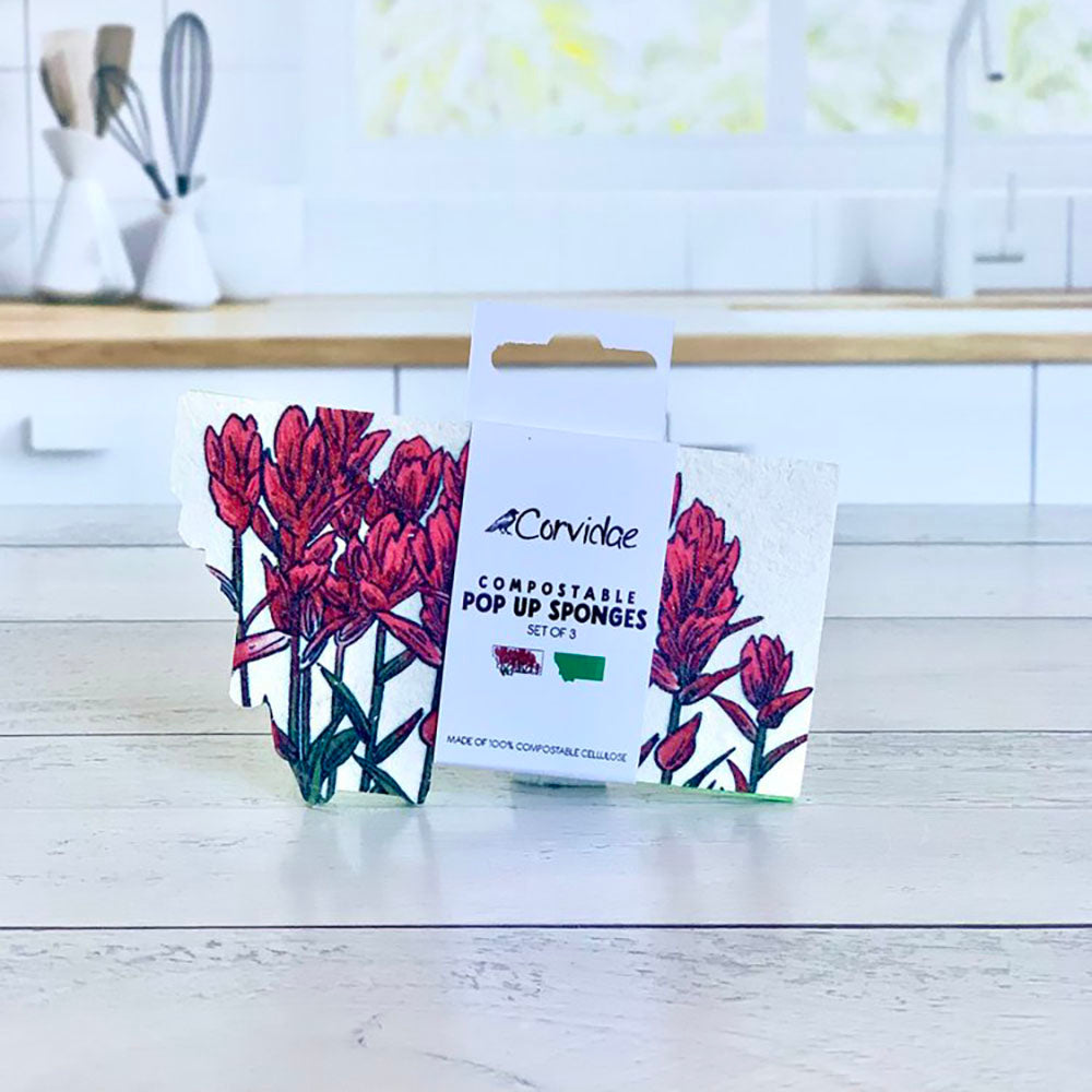Two packages of Comvibe compostable pop-up sponges on a kitchen counter.