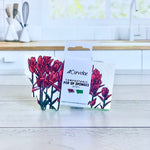 Two packages of Comvibe compostable pop-up sponges on a kitchen counter.
