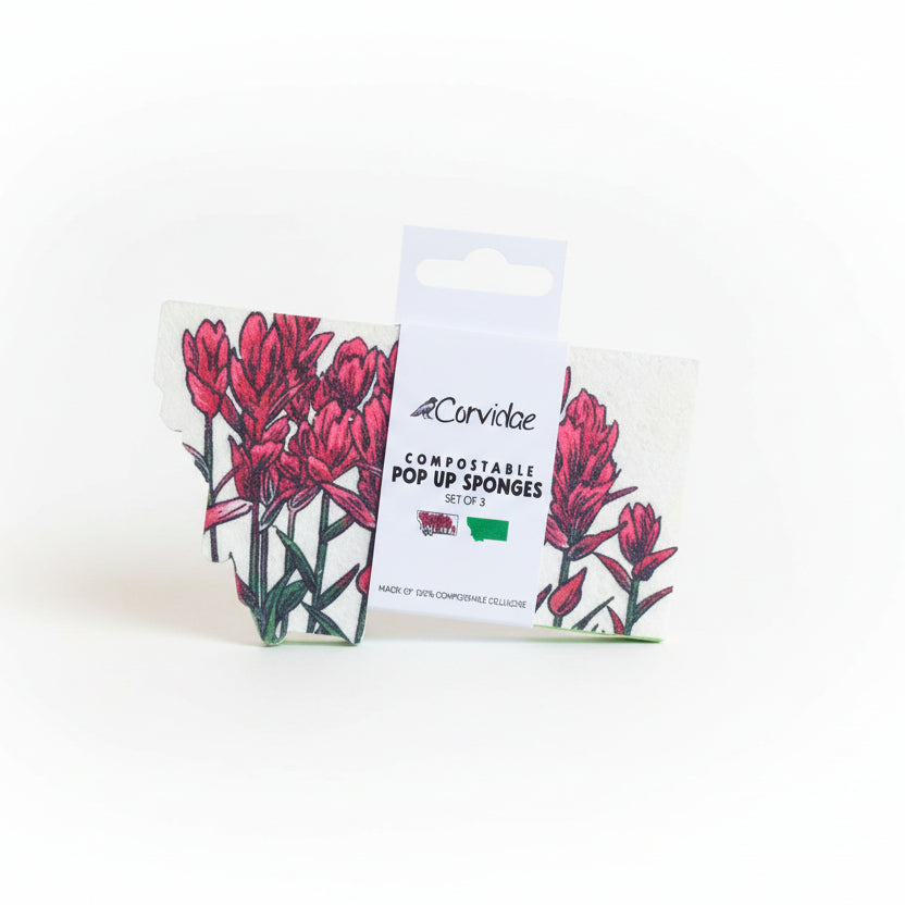 Two packages of Comvibe compostable pop-up sponges on a kitchen counter.