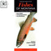 Flora and Fauna Information Pamphlets from Farcountry Press