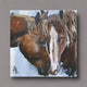 Frontier Napkins by Paperproducts Design (4 Styles, 2 Sizes)