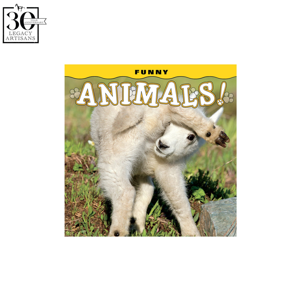 Funny Animals Book