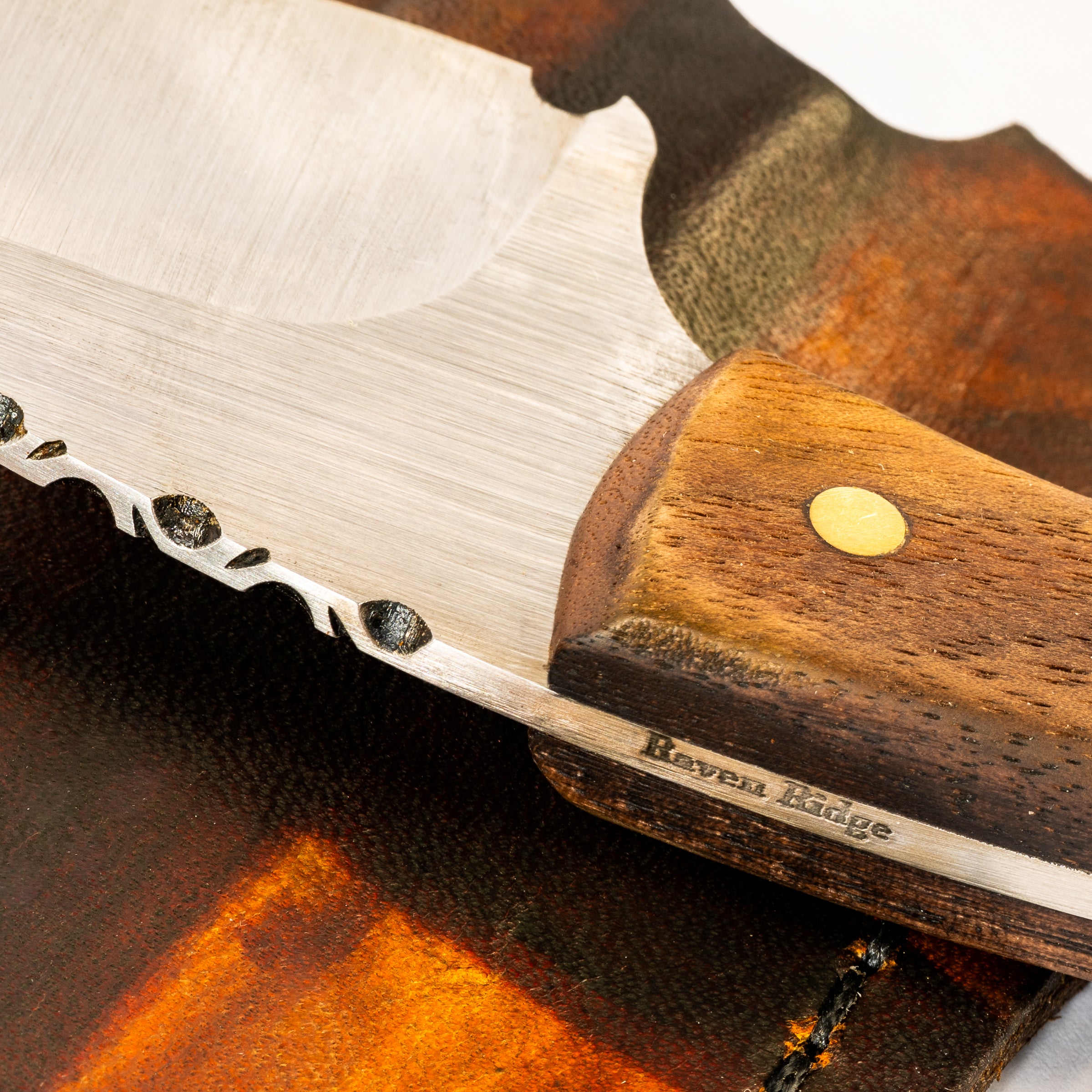 Montana High Carbon Steel Clip Point Skinning Knife