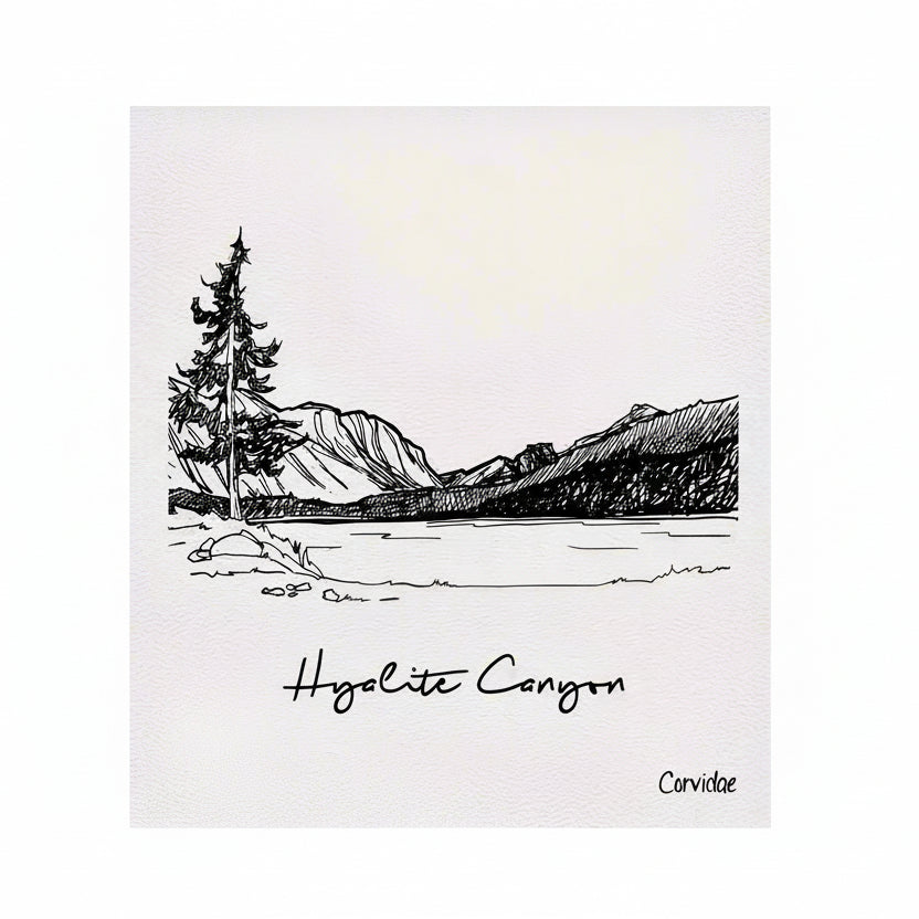 HyaliteCanyonSwedishDishClothbyCorvidaeDrawingandDesign