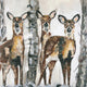 Into the Woods Napkins by Paperproducts Design