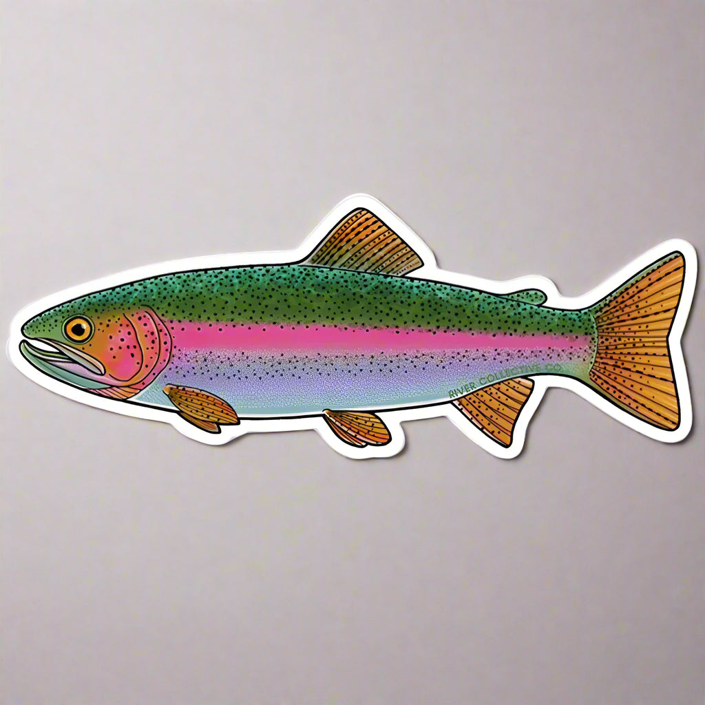Colorful fish illustration on a white background