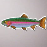 Colorful fish illustration on a white background