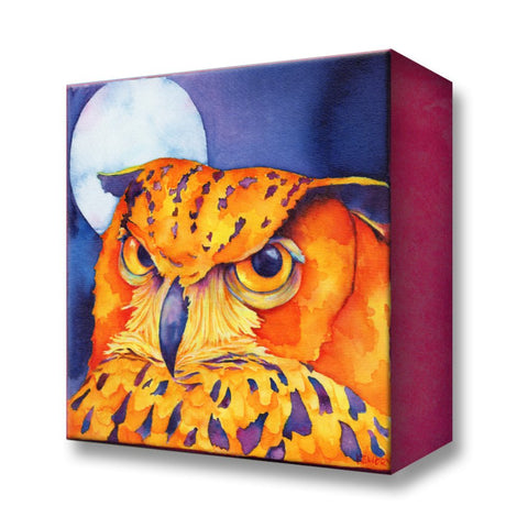 Karen Savory Big Bold and Beautiful Owl Metal Box Wall Art by Meissenburg Designs