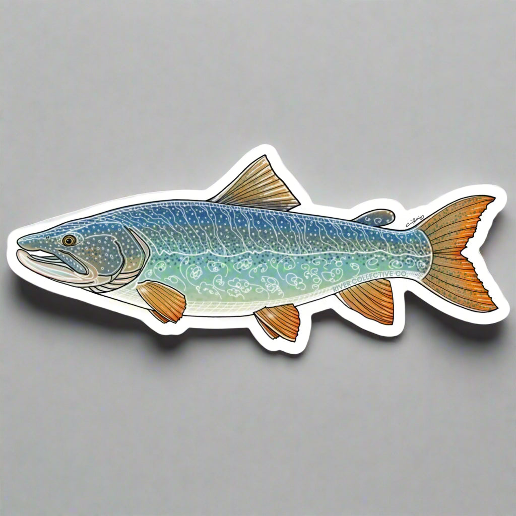 Illustrated sticker of a lake trout fish on white background