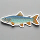 Illustrated sticker of a lake trout fish on white background