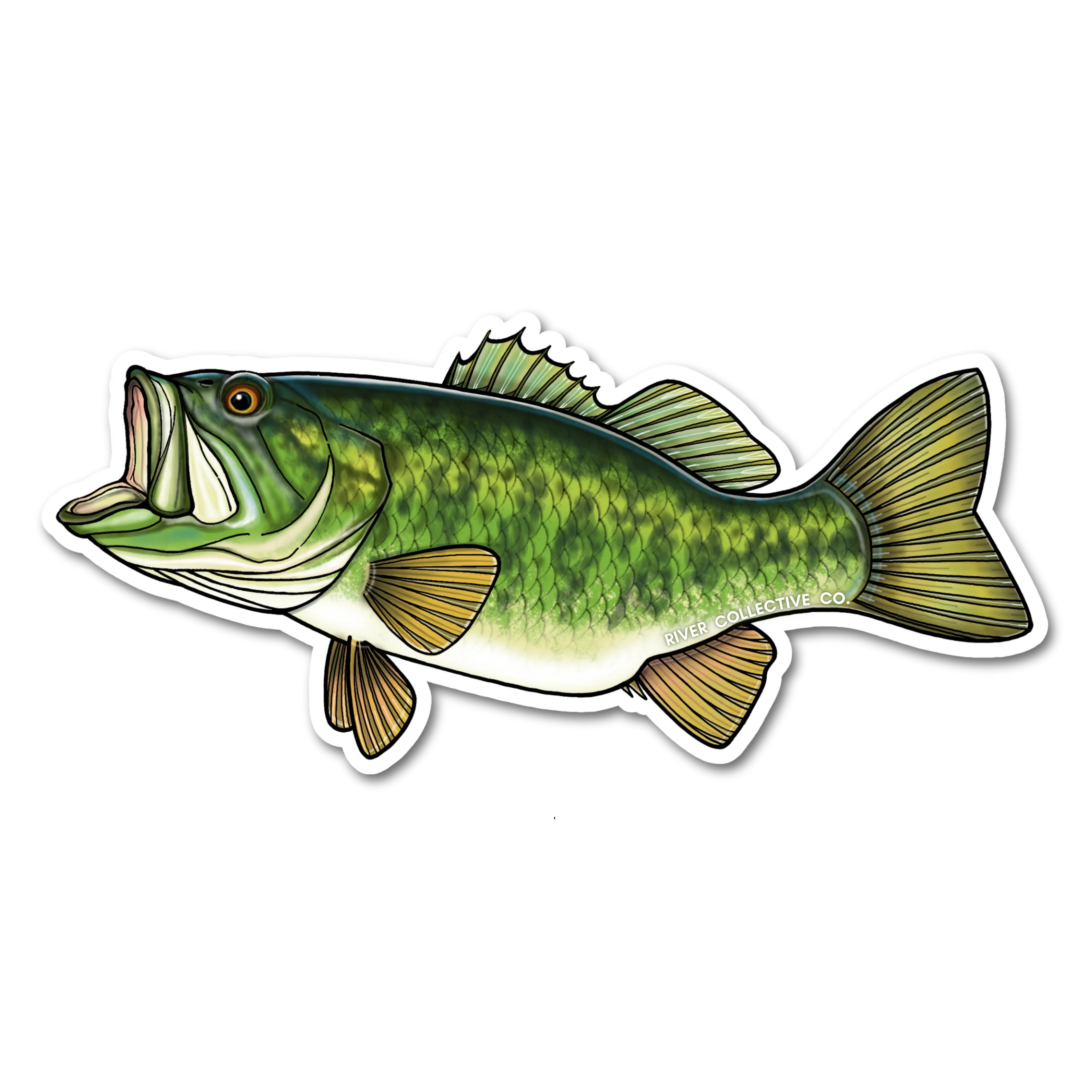 A die-cut vinyl sticker of a green and yellow bass fish, shown on a plain white background.