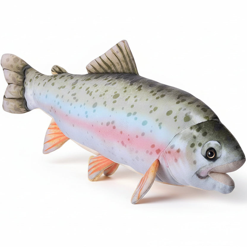 Living Stream Trout