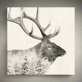 Wildlife Napkins by Paperproducts Design (22 Designs)