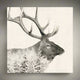 Wildlife Napkins by Paperproducts Design (22 Designs)