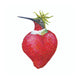 Bird Napkins by Paperproducts Design (22 Designs)