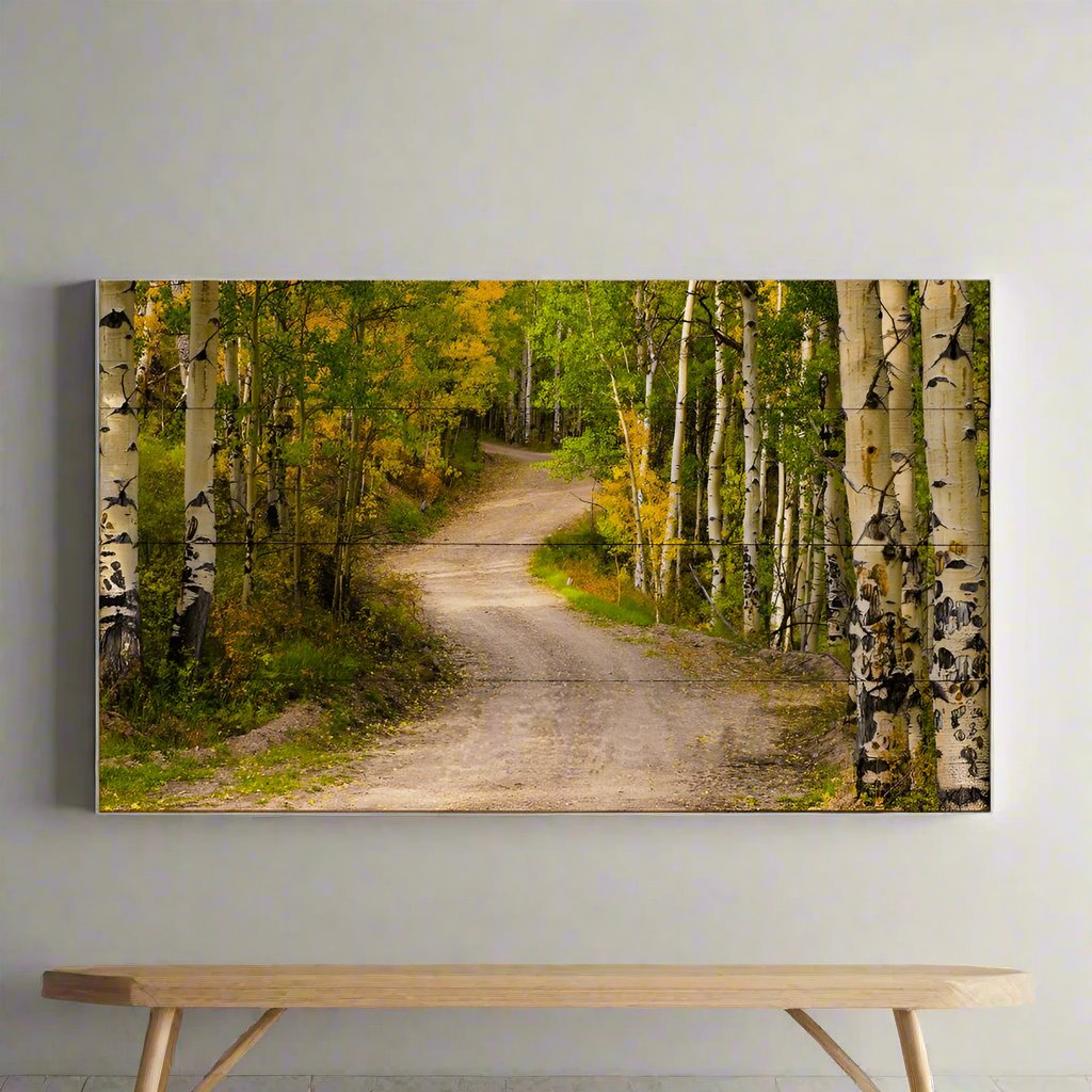 Michael Underwood Photography Path in the Aspens Wood Wall Art by Meissenburg Designs