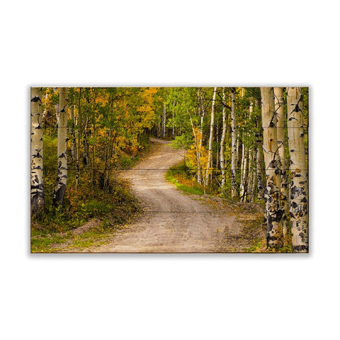 Michael Underwood Photography Path in the Aspens Wood Wall Art by Meissenburg Designs